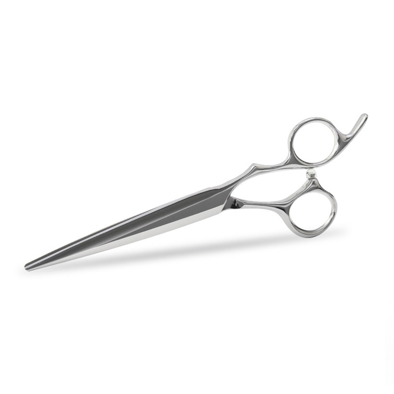 Caeci foramen gladium ferrum omne propositum rectum Shear
