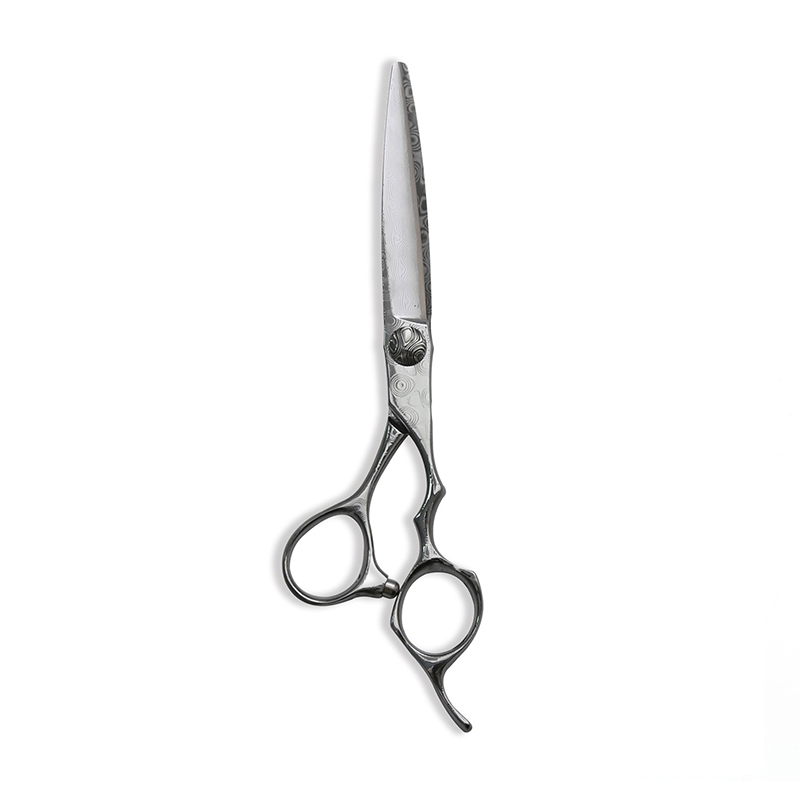 6.3 'Multi-Propositum rectum Shear